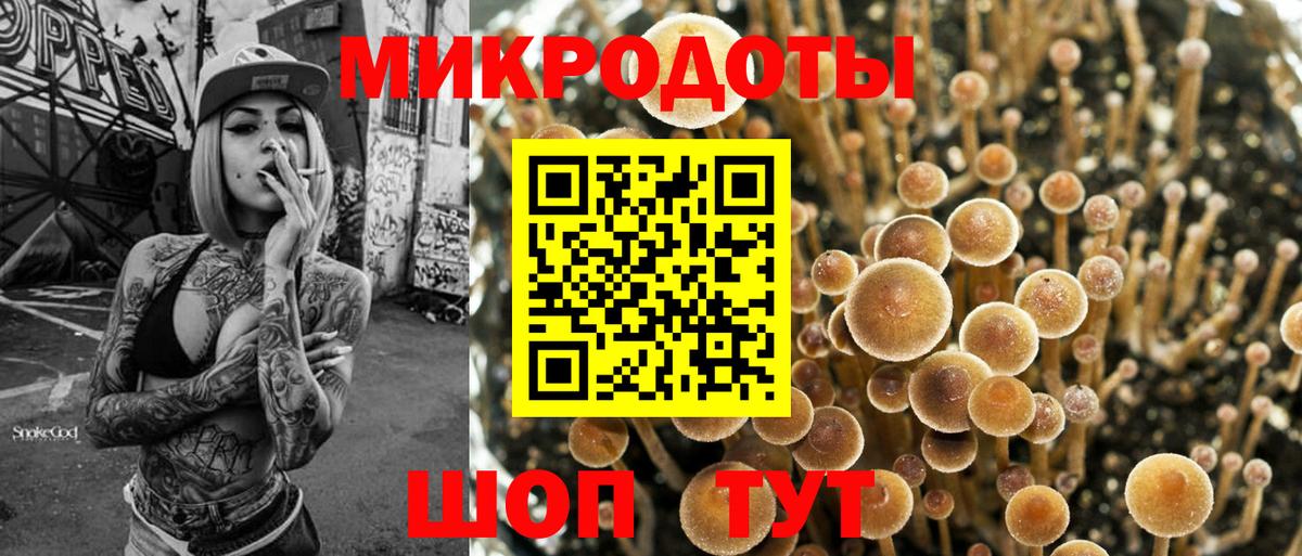 Галлюциногенные грибы GOLDEN TEACHER Елабуга