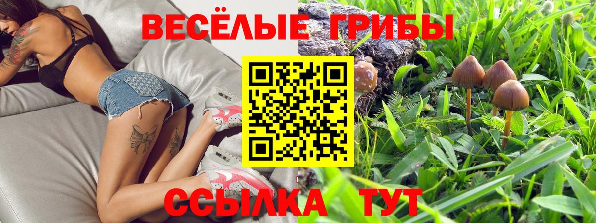 Галлюциногенные грибы Psilocybine cubensis  Вход с VPN  Елабуга 